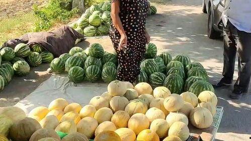 鲁山热门吃瓜视频,热门视频带你一探究竟