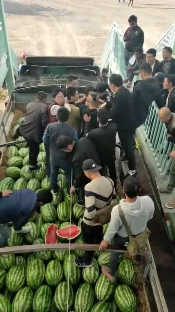 缅甸吃瓜视频观看,揭秘当地生活百态