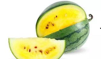 吃瓜好吃吗甜吗视频讲解,视频讲解带你领略瓜果魅力