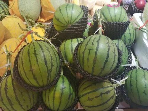 销售焦糖吃瓜视频大全,甜蜜与幽默的视觉盛宴