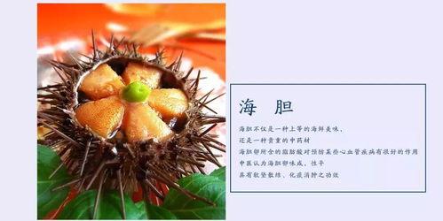 黑色海瓜怎么吃最好呢视频,视频教你轻松享美食