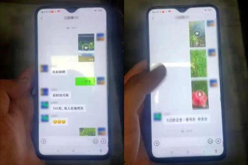 吃瓜群分享的视频在线,一场令人震惊的事件大揭秘