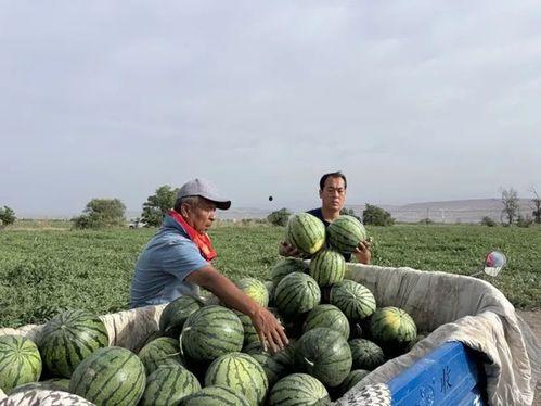 全国最新吃瓜事件视频,最新吃瓜事件视频引发全民围观