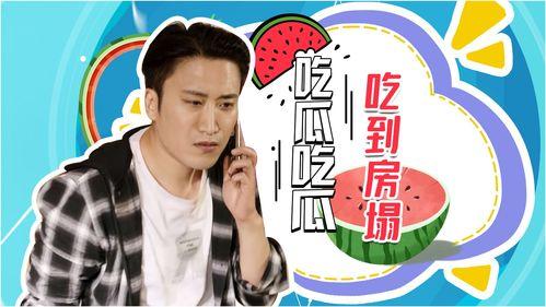 吃瓜今日视频最全观看免费,最全视频免费观看，揭秘热门事件幕后真相