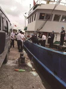 舟山吃瓜渔船事件视频全过程,一场意外引发的全民热议