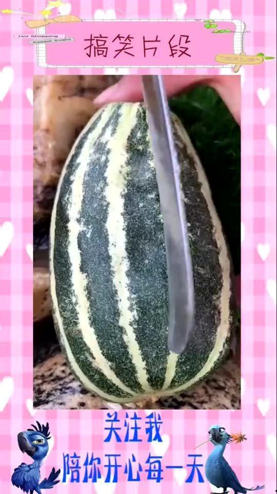 吃瓜视频网名叫什么名字,揭秘“吃瓜视频”背后的网络传奇