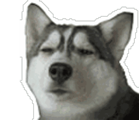 坏的瓜能给狗吃吗视频,坏瓜是否适合作为狗狗的美食？