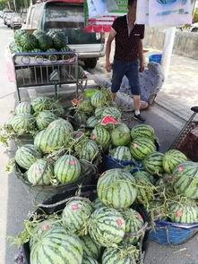 临沂地产吃瓜事件视频,揭秘背后真相与争议