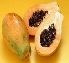 吃瓜树苗图片大全集视频,一场视觉盛宴的绿色之旅