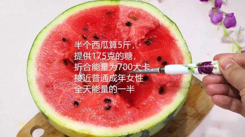 吃瓜搞笑知识大全视频,笑料横生！揭秘吃瓜搞笑知识大全视频